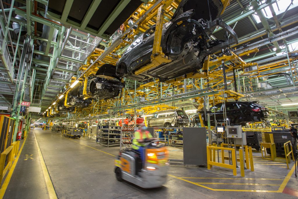 Unbeirrbarer Blick 1 OSCAR PADI