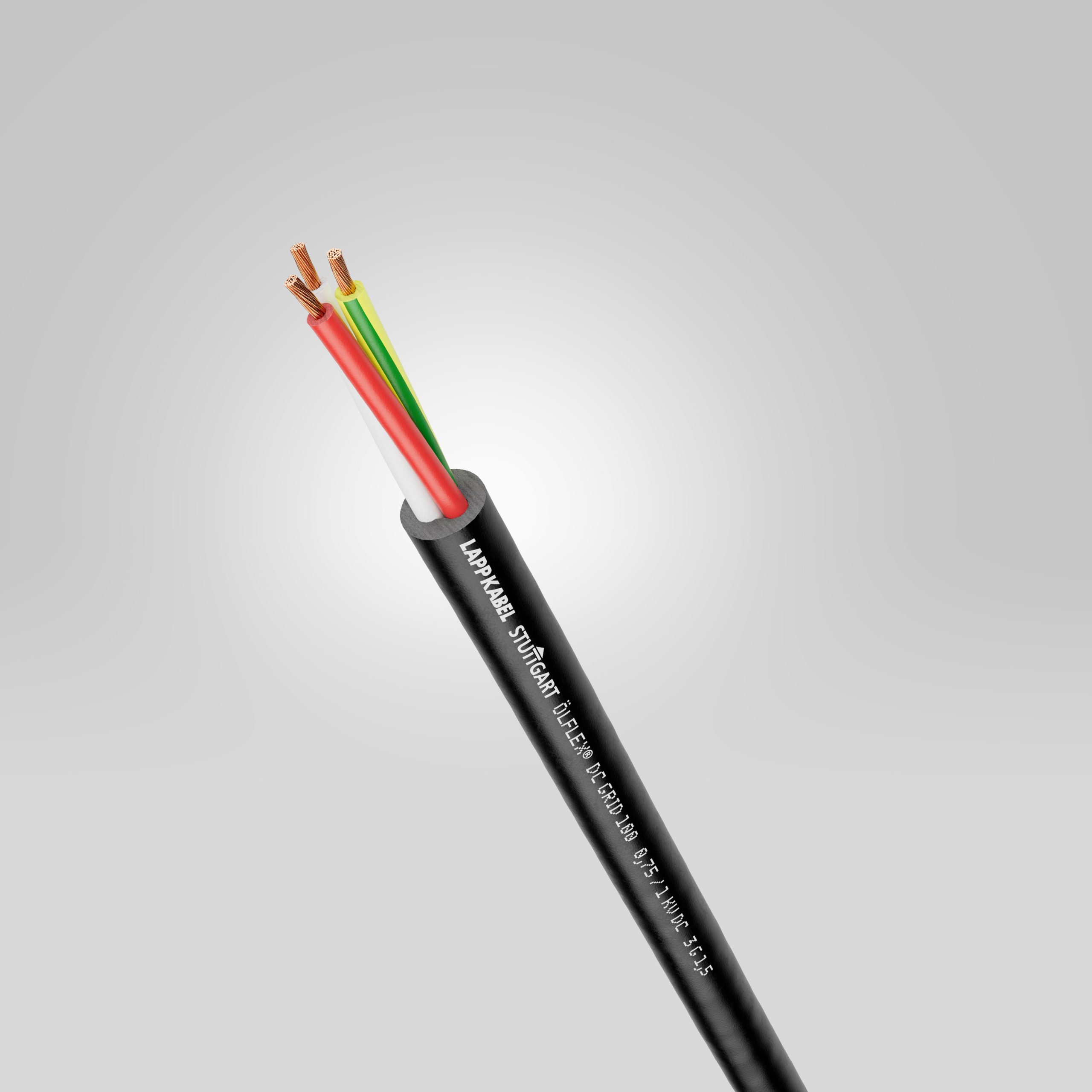 Zukunft vorwegnehmen