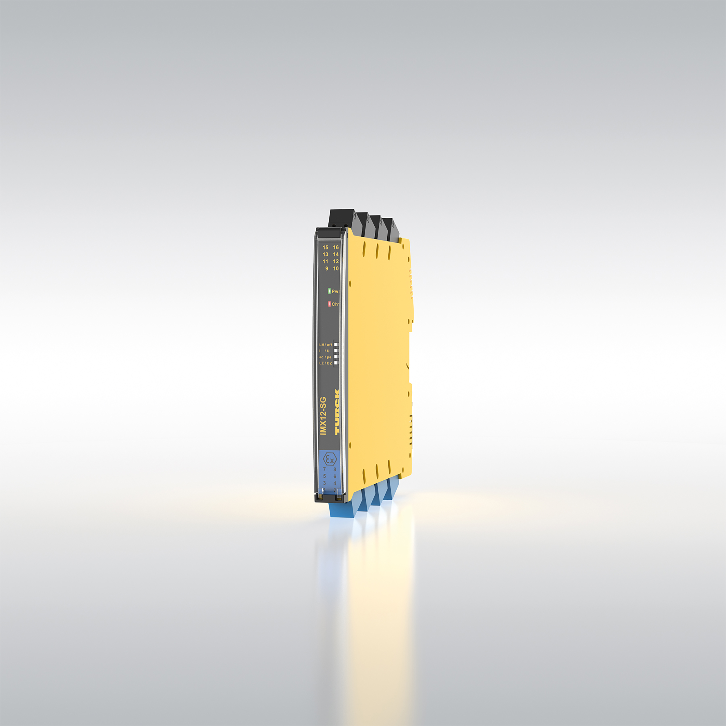 DMS-Auswertegerät für den Ex-Bereich 5 DMS-Auswertegerät für den Ex-Bereich