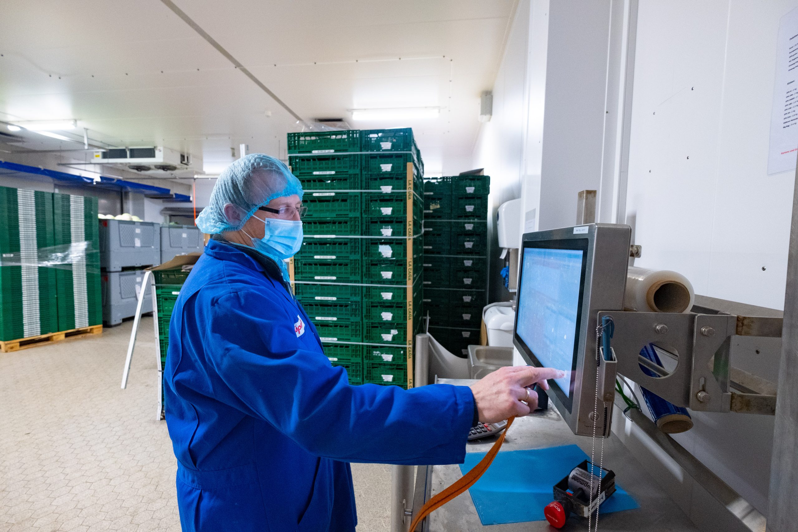 Frisch, knackig und in Form geschnitten