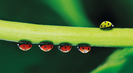 SQL4automation – verbindet Maschine und MES 11 SQL4automation – verbindet Maschine und MES