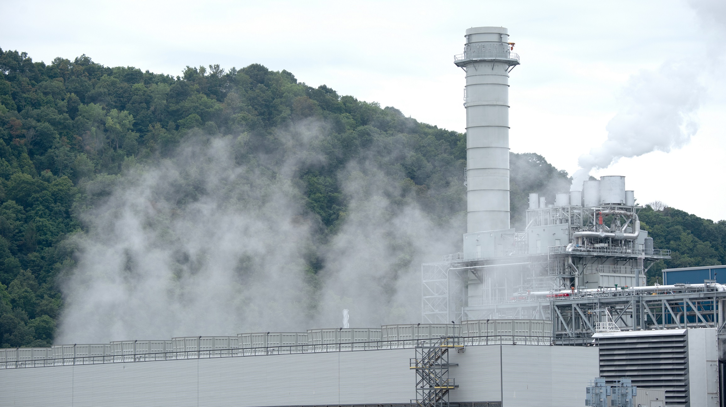 Grüner Pioniergeist 10 Grüner Pioniergeist