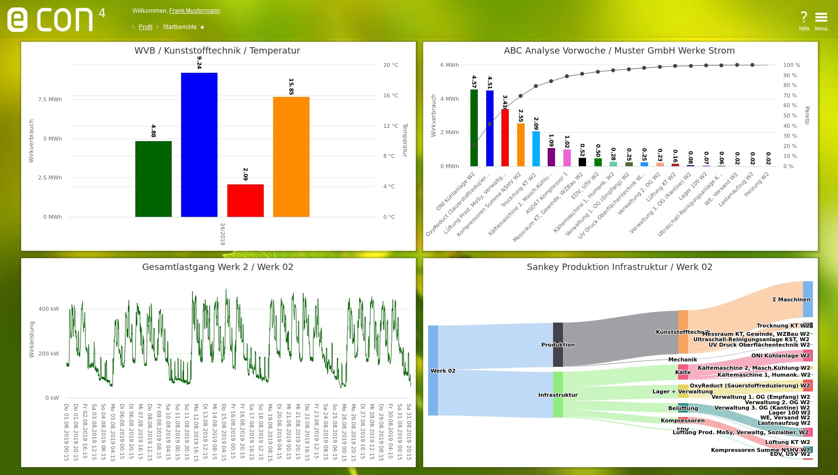 HerstellerunabhängigeEnergiemanagement-Software