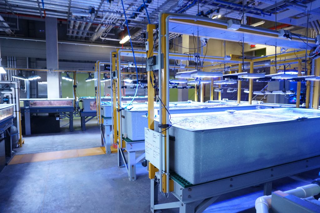 Die Datenflut bewältigen 3 Im SeaSim müssen die Parameter konstant gehalten werden, um die wissenschaftliche Integrität des Versuchs zu gewährleisten.