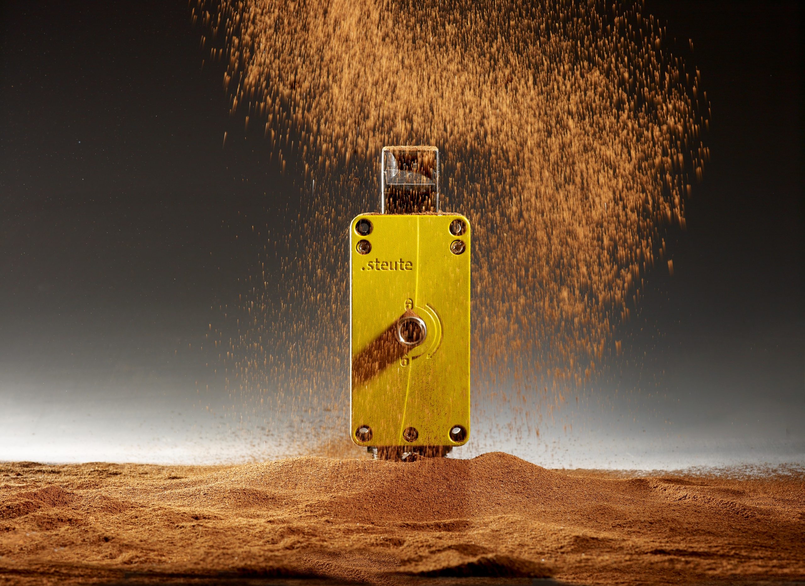 Sicherheitszuhaltung für extreme Bedingungen 10 Sicherheitszuhaltung für extreme Bedingungen