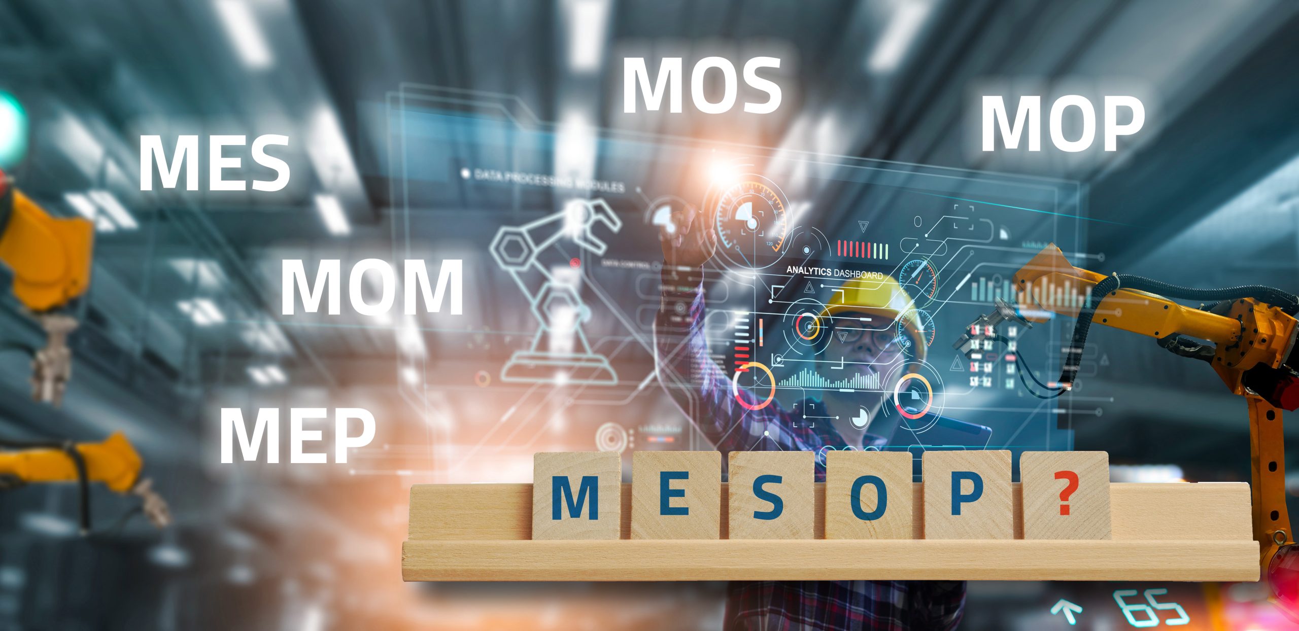 MES, MOM, MEP, MIP – warum diese Vielfalt?