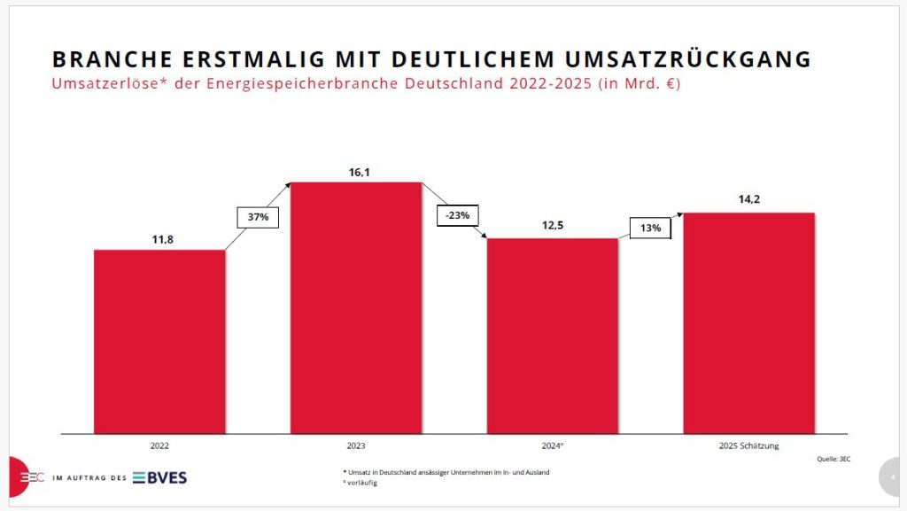 BVES-Branchenanalyse 2024 1 BVES 1