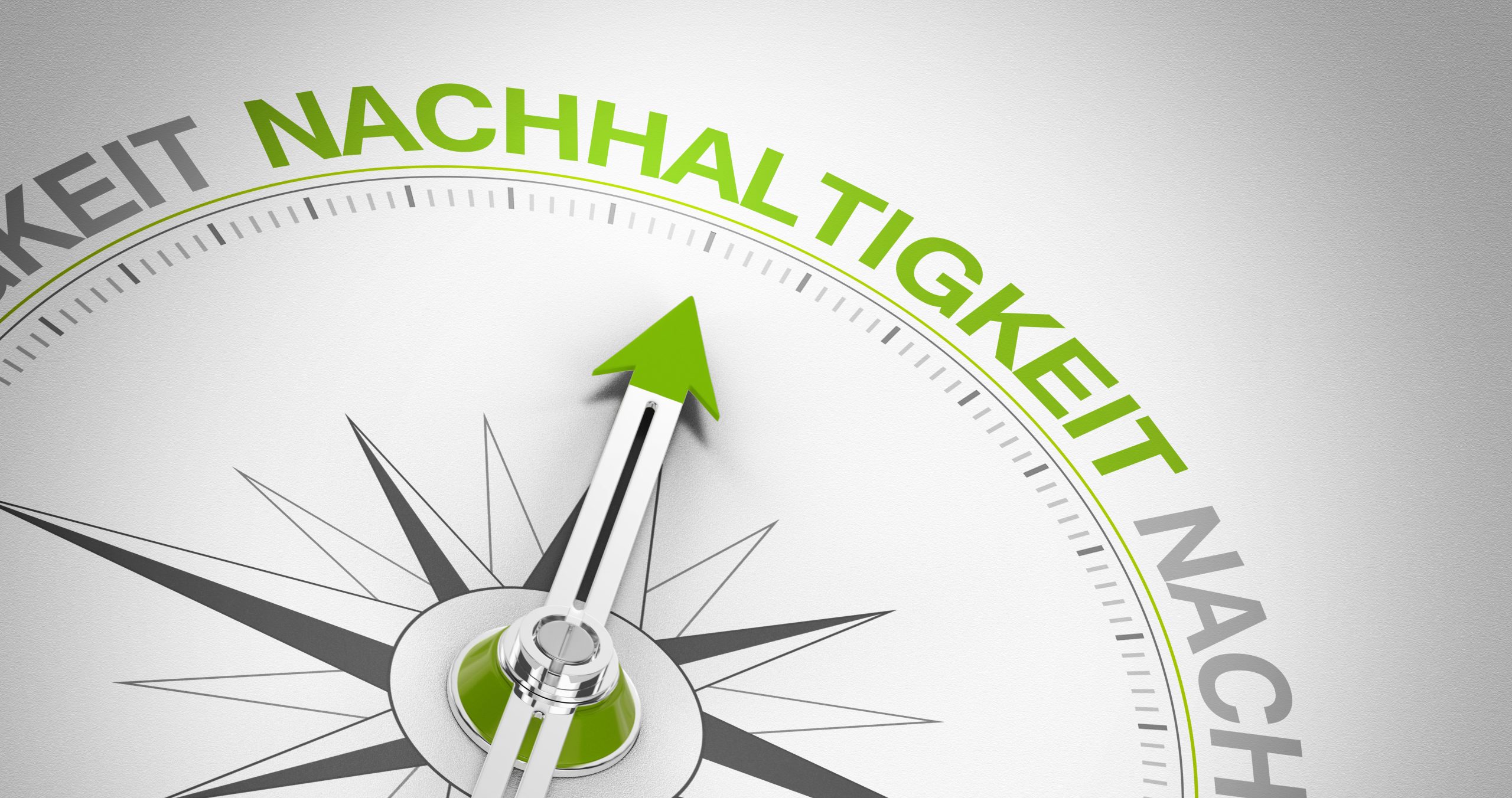 Nachhaltigkeit in Unternehmen 10 Nachhaltigkeit in Unternehmen