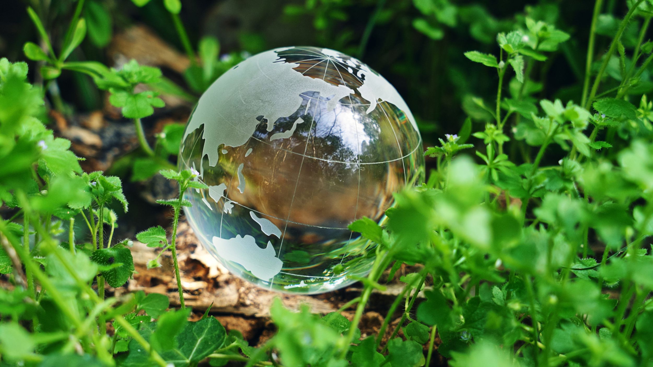 NSK in renommierte ‚Climate Change Leader‘-Liste aufgenommen