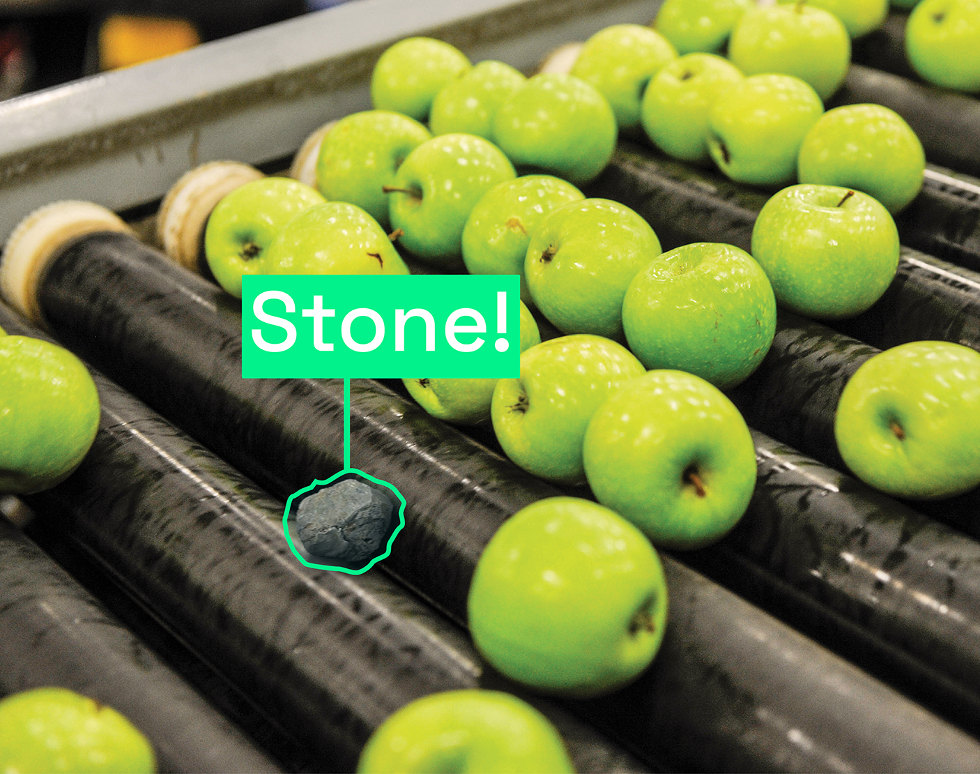 Grüne Algorithmen