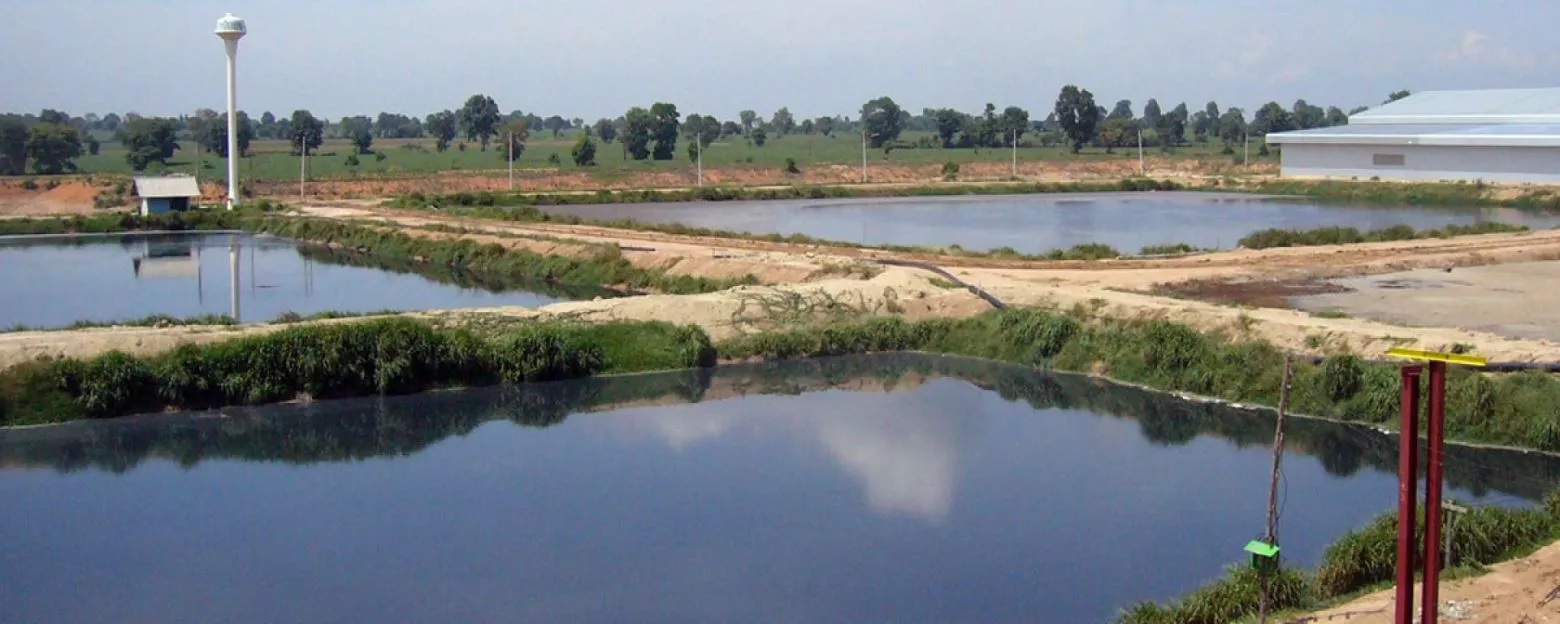 Biogas aus
Abwasser