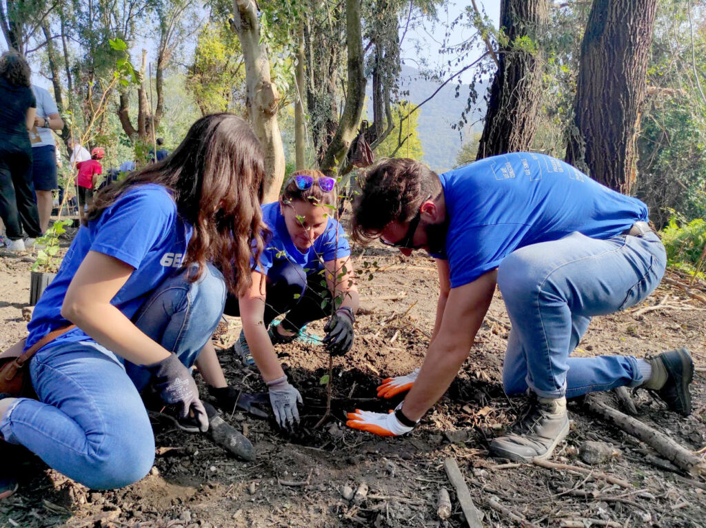 GEFRAN Baeume pflanzen 1 rgb