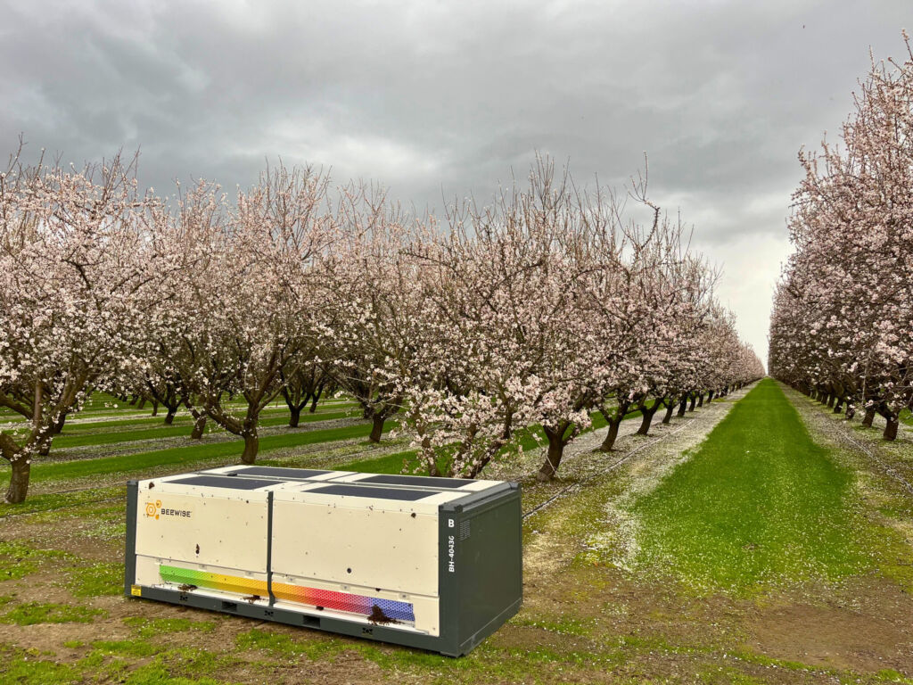 Das BeeHome bietet Platz für zwei bis 10 Bienenvölker und ist mit traditionellen, hölzernen Langstroth-Rahmen vergleichbar, außer dass nun ein Roboter die Rahmen extrahiert und nicht mehr ein Mensch.