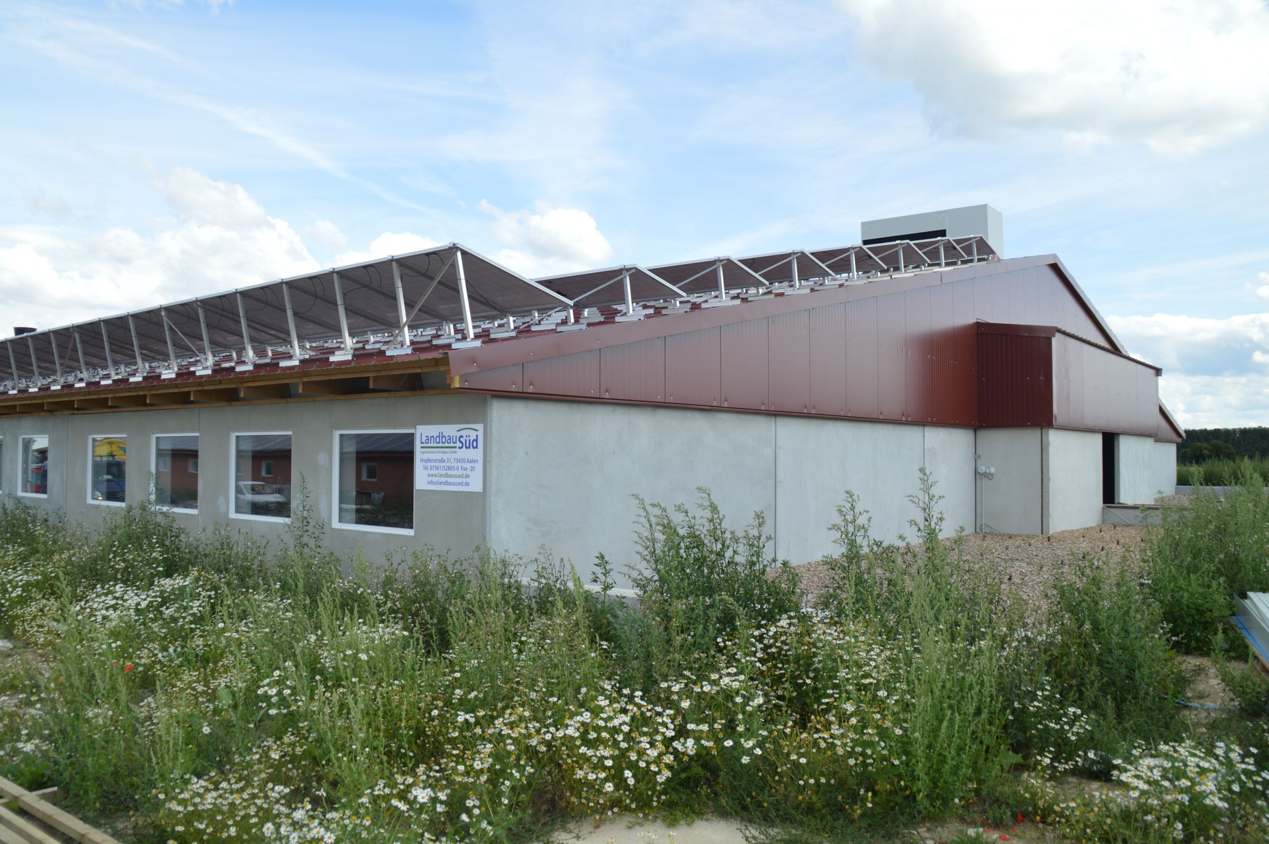 web 148721 WP1702 9b