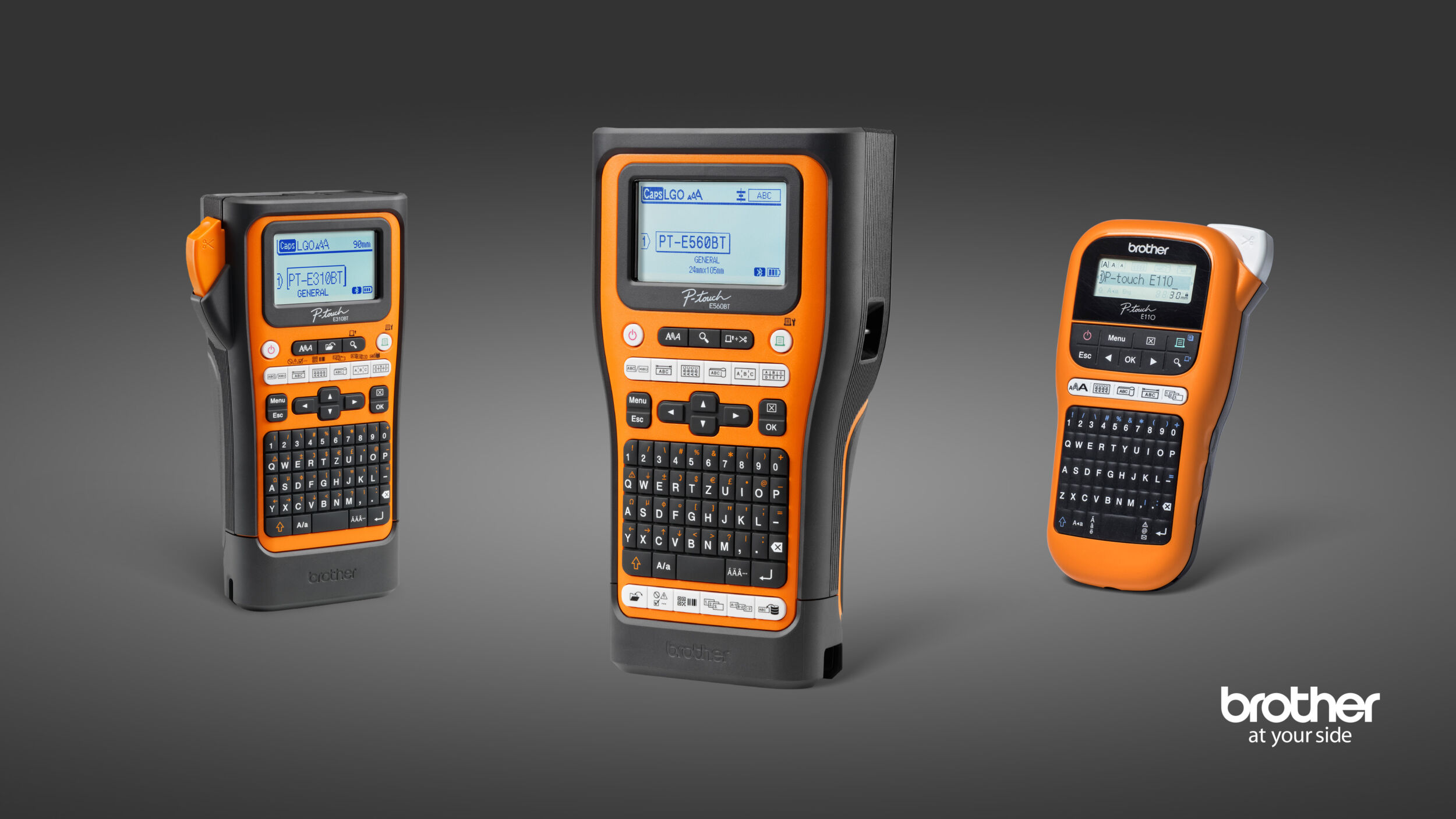 Newsletter 07 dhf 15 2025