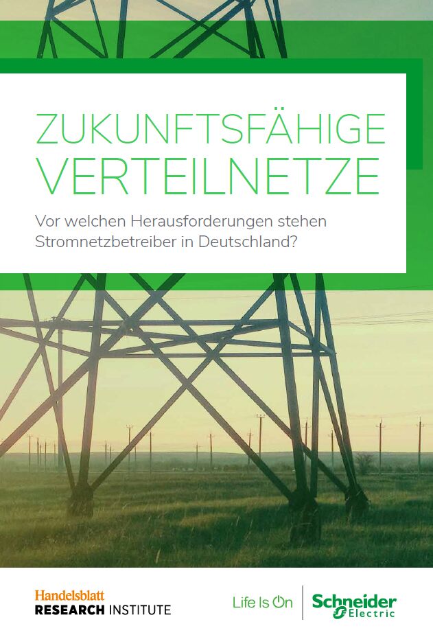 Branchenumfrage zur Transformation der Stromnetzinfrastruktur
