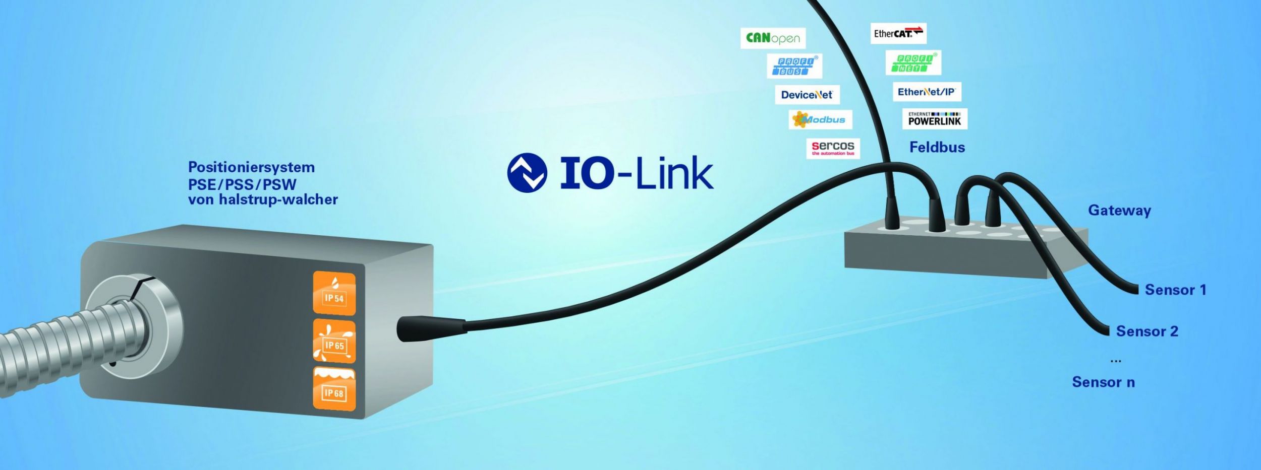 Automatisierte Formatverstellung mit IO-Link