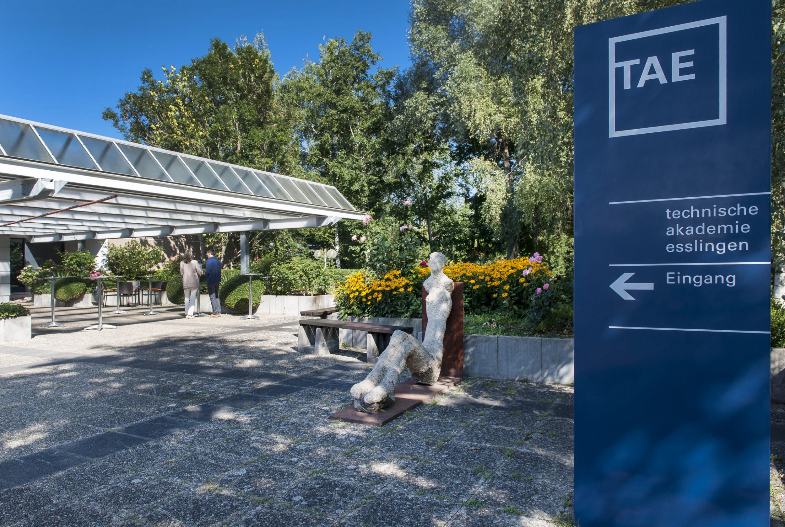 TAE kooperiert mit Cadfem